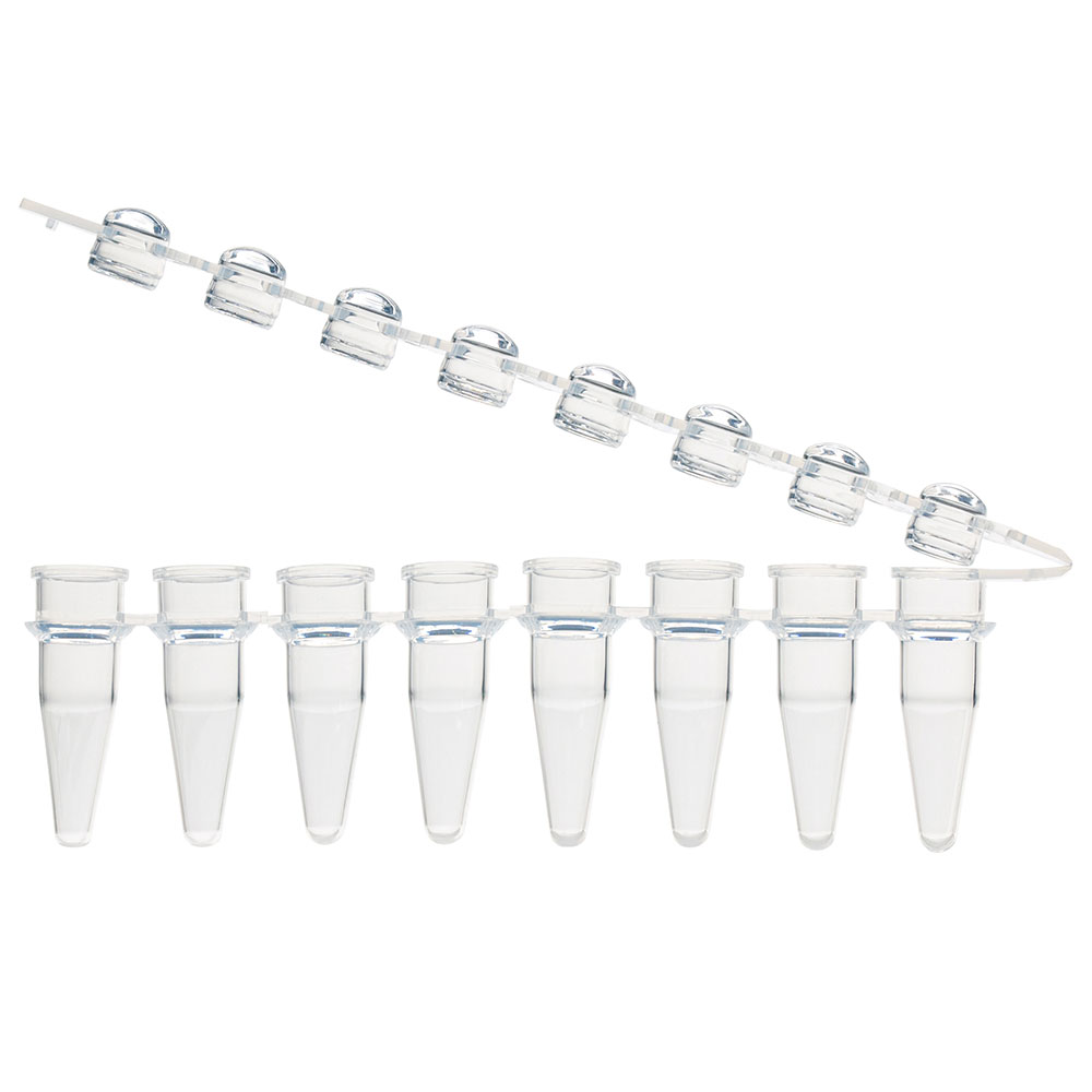 Globe Scientific 0.2mL 8-Strip Tubes, with Hinged Attached 8-Strip clear Dome caps, Natural .2ml;dome caps;8 strip